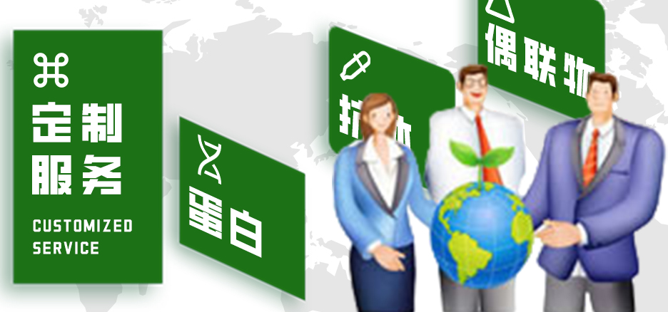 定制服務,蛋白,抗體,偶聯物